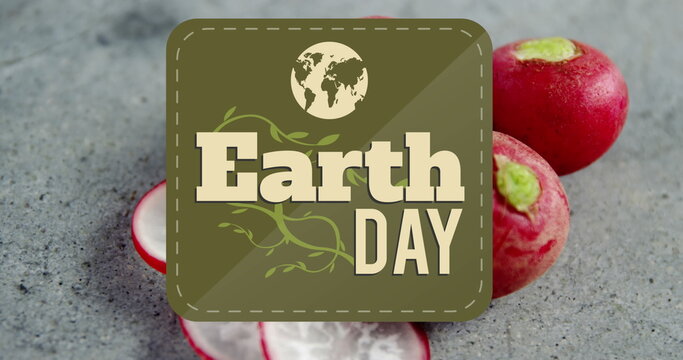 Naklejki Image of earth day text banner against close up of red radish on grey surface
