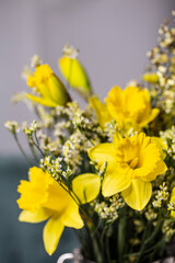 Blumenstrauss aus gelben Narzissen und gelbem Ginster - Nahaufnahme - Close up.