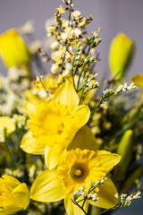 Blumenstrauss aus gelben Narzissen und gelbem Ginster - Nahaufnahme - Close up.