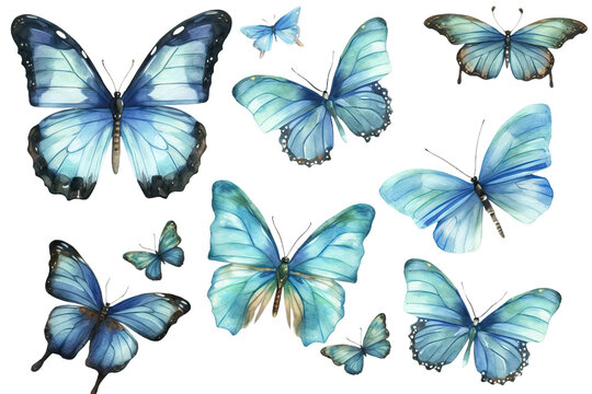 Set Watercolor Butterflies Blue illustration
