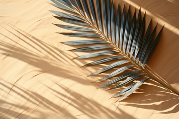 Palm leaf shadow on a textured sand plane with copy space, generative IA