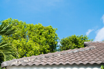 Roof of a house with tree against the blue sky,summer time concept.