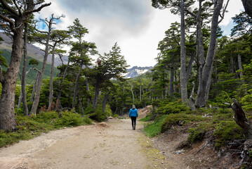 Obraz premium woman contemplating and walking through beautiful landscape of mountains forests rivers and bridges lifestyle of traveling ushuaia argentina end of the world