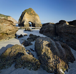 Fototapeta premium Arch, Felsloch, Wharariki Beach, Tasman, Südinsel, Neuseeland