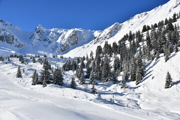 Winter scenery of French alps with snowy trees on a mountain 