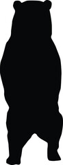 Silhouette of a grizzly bear illustration in vector