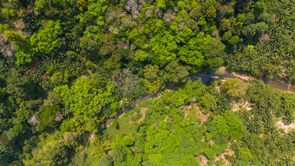 Aerial view of bamboo rafts on Sok river in Khao Sok National Park, Surat Thani, Thailand