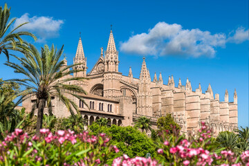Kathedrale La Seu von Palma de Mallorca - 7537