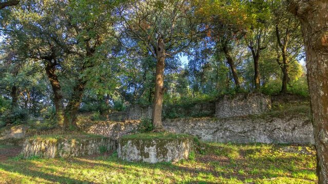 Timelapse Hyperlapse of Villa Doria Pamphili Park in Albano Laziale, Italy. Bask in Warm Light Amongst Lush Green Trees, a Tranquil Oasis Captured in Motion