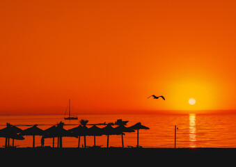 Obraz na płótnie Canvas Sunrise over a tropical island beach with a sea bird gliding past