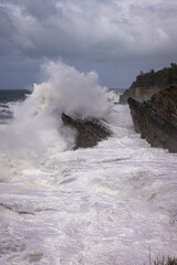 Giant waves in Shore Acres, Oregon.