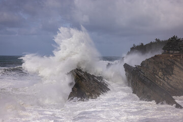 Giant waves in Shore Acres, Oregon.
