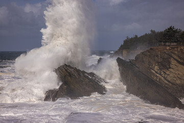 Giant waves in Shore Acres, Oregon.
