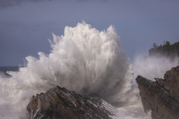 Giant waves in Shore Acres, Oregon.