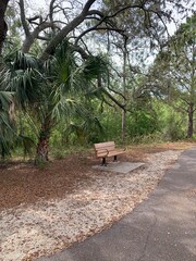 Park bench florida