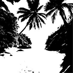 silhouette of palm tree,black and white beach photo