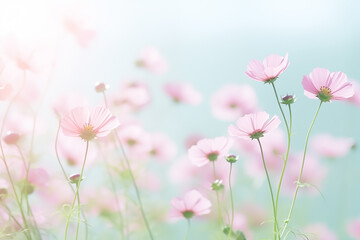 gradient blurred background, light green and pink, simple, minimalist, summer flowers