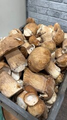 basket of porcini mushrooms, box for sale