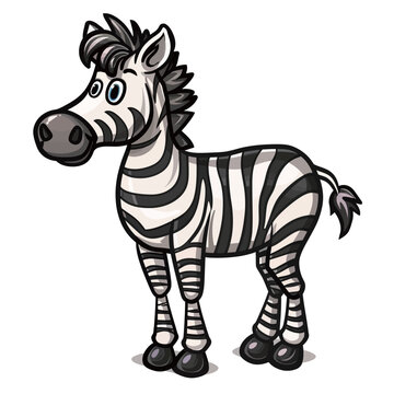 Zebra isolated on white background. Vector illustration for your design.
