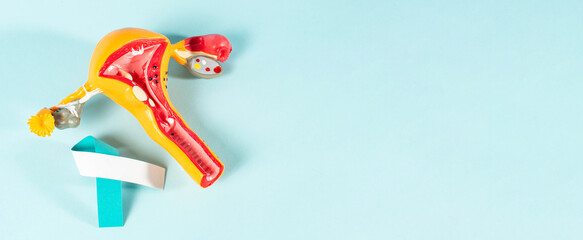 Cervical Cancer Awareness Month banner design.