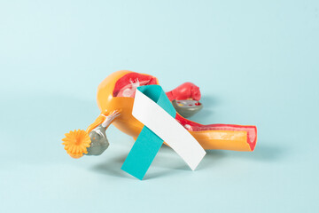 Cervical Cancer awareness month observed each year during January. Teal and White ribbon.