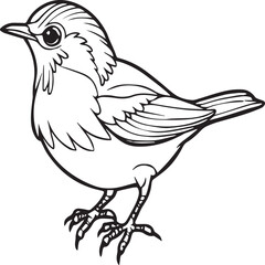 Fototapeta na wymiar Bird coloring pages. Bird outline vector for coloring book