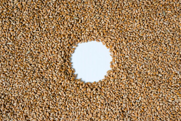 Round frame of wheat. Wheat seeds. Grains. Copy space. 