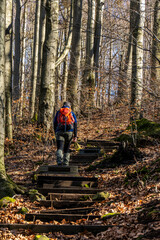 Steiler Aufstieg zum Großen Winterberg in der Sächsischen Schweiz