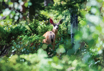 Hiding Doe