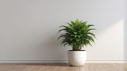 a potted plant against a white wall. the copy space. place of the text