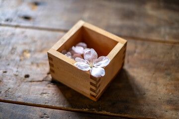 桜の花と升