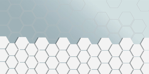 White Hexagon Structure Gray Centre Header