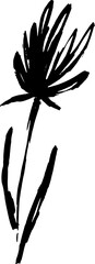 Dry Brush Milk Thistle Flower Silhouette - 758122970
