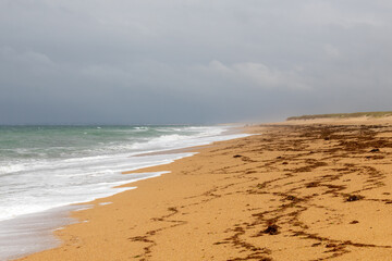 waves on the beach in the morning