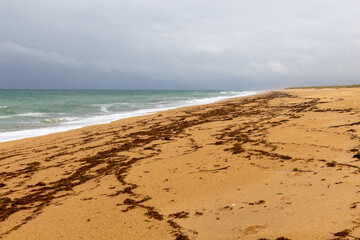 waves on the beach in the morning
