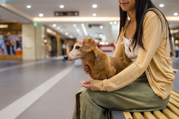 Woman go shopping mall with her dachshund dog - 758123929