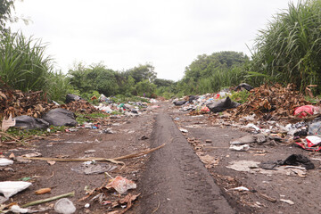 pieces of wood immortalized through photos in the afternoon