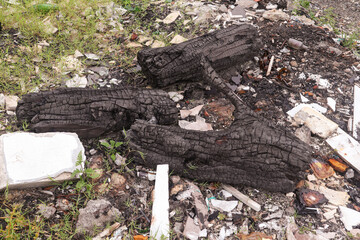 pieces of wood immortalized through photos in the afternoon