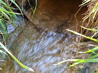 Water flow in an ditch