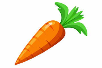 carrot vector illustration 