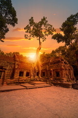 Ta Prohm temple ruins hidden in jungles at Angkor Wat - Wall carving with woman famous Angkor Wat...