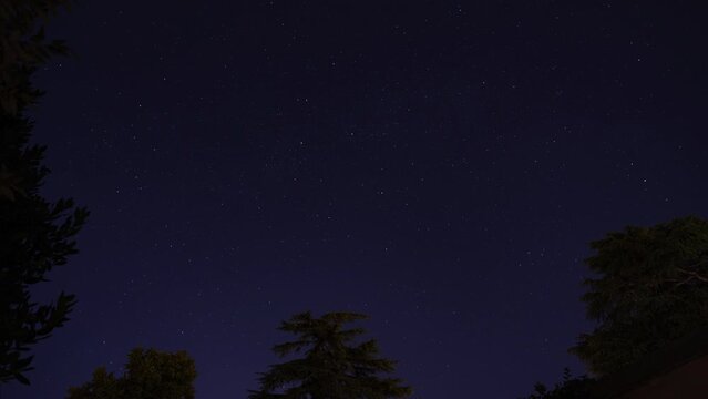lunga ripresa video, con ampia visuale, che mostra dal basso e da dietro alcuni alberi, il cielo stellato e la rotazione terrestre durante una notte serena, in estate, in Italia