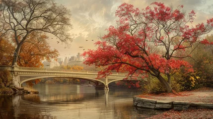 Foto op Canvas Vibrant fall scene: majestic red tree by bow bridge, central park, nyc © Ashi