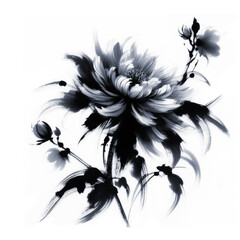 Drawing Of Abstract Flowers In Black Ink And Watercolor, Fashion Illustration, Exhibitions And Art , Graphic Illustrations
