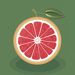 Flat Design Vector Illustration of Grapefruit - Fresh and Vibrant Fruit Concept for Graphic Projects