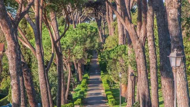 Timelapse of Villa Doria Pamphili Park in Albano Laziale, Italy. Embrace the Beauty of Green Trees and Warm Light in This Picturesque Italian Oasis