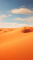 Fototapeta na wymiar A dry, uninhabited desert landscape.