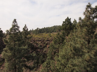 Obraz premium Barranco de la Mesa (San Miguel de Abona, Tenerife, Canary Islands, Spain)