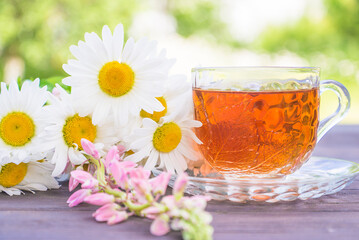 Glass cup of herbal tea and bouquet of white chamomile flowers on a wooden table in a sunny garden; close up