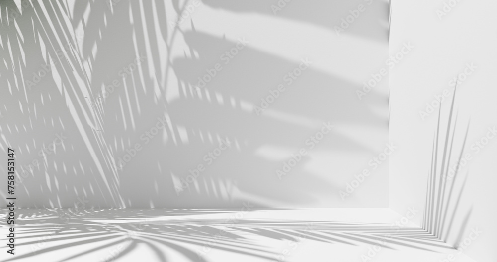 Leinwandbilder White Abstract Minimalistic Room studio background with leafs shadows and sunlight, summer white room light clean empty background - place for product placement and design background backdrop corner